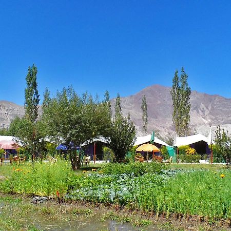 Hotel Tiger Camp Valle di Nubra Esterno foto