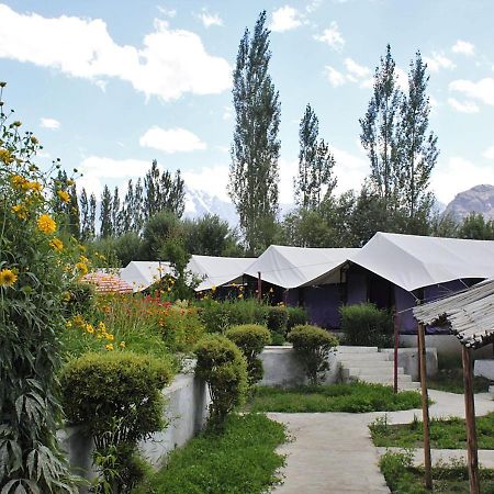 Hotel Tiger Camp Valle di Nubra Esterno foto