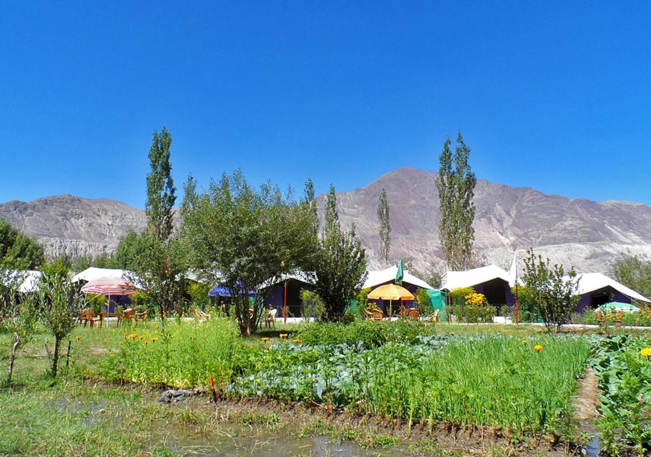 Hotel Tiger Camp Valle di Nubra Esterno foto