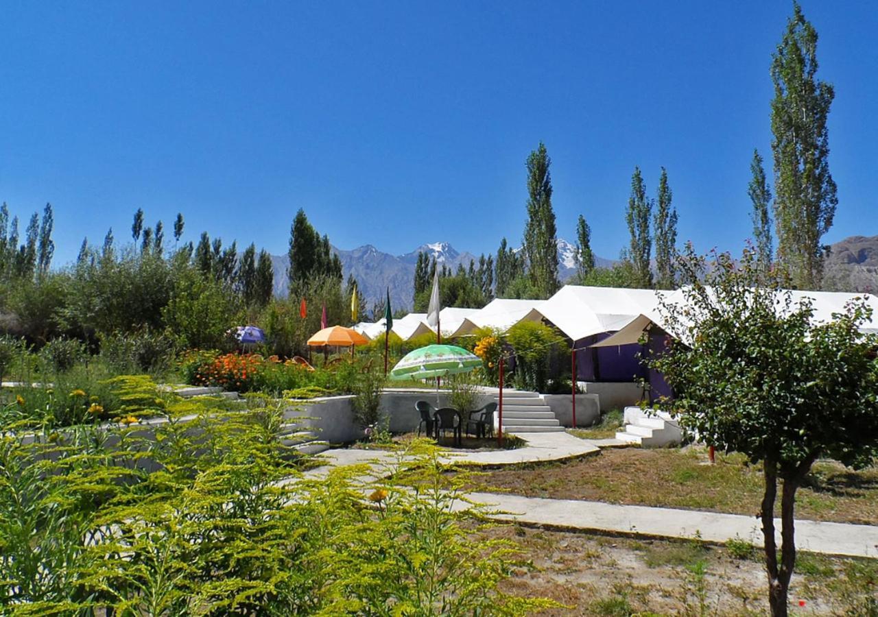 Hotel Tiger Camp Valle di Nubra Esterno foto