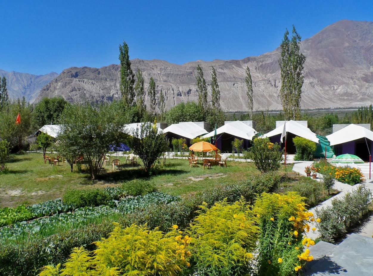 Hotel Tiger Camp Valle di Nubra Esterno foto