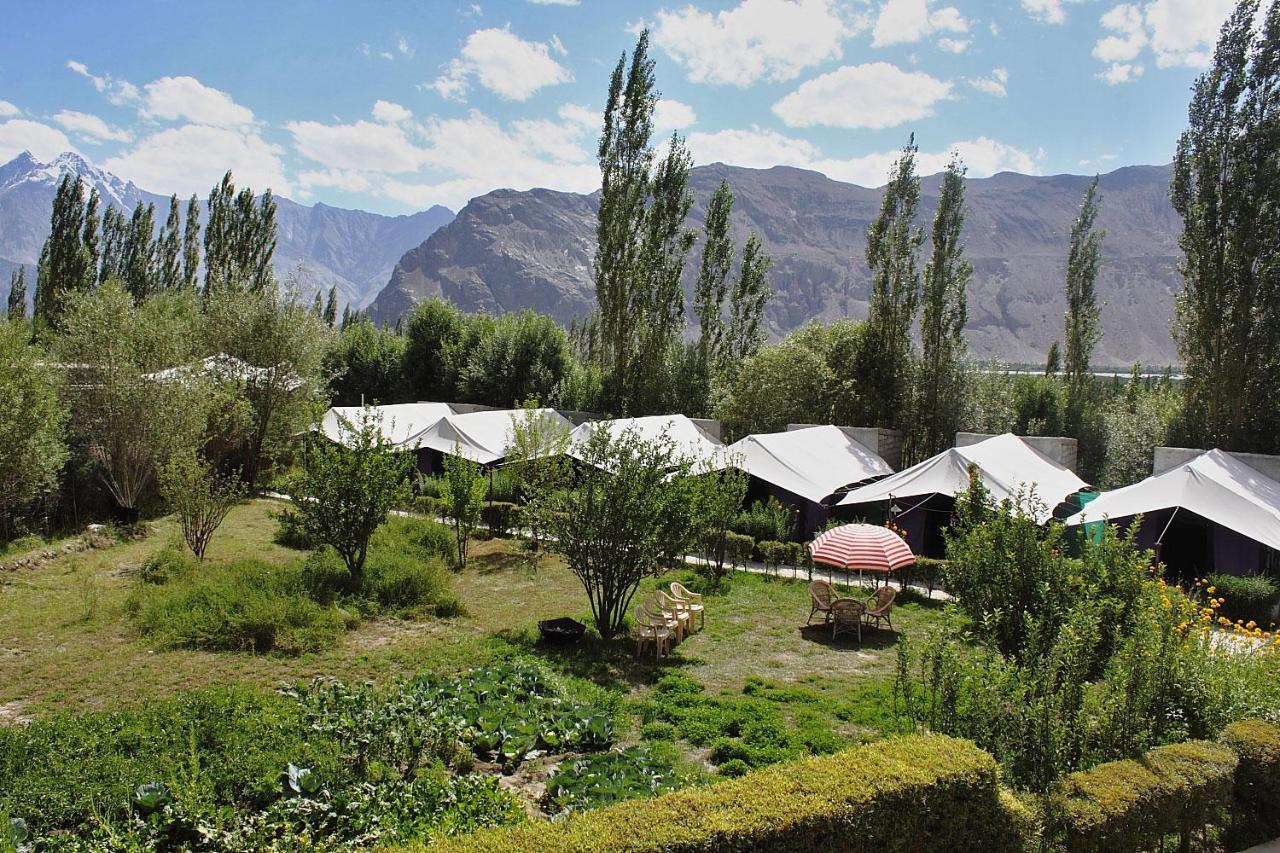 Hotel Tiger Camp Valle di Nubra Esterno foto